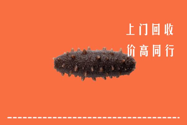 高价求购：宝鸡市岐山县回收海参
