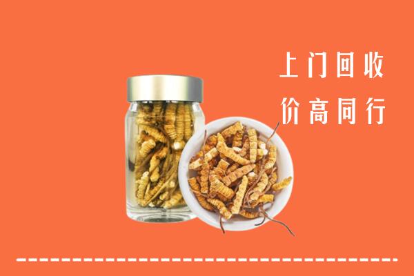 宝鸡市岐山县回收冬虫夏草